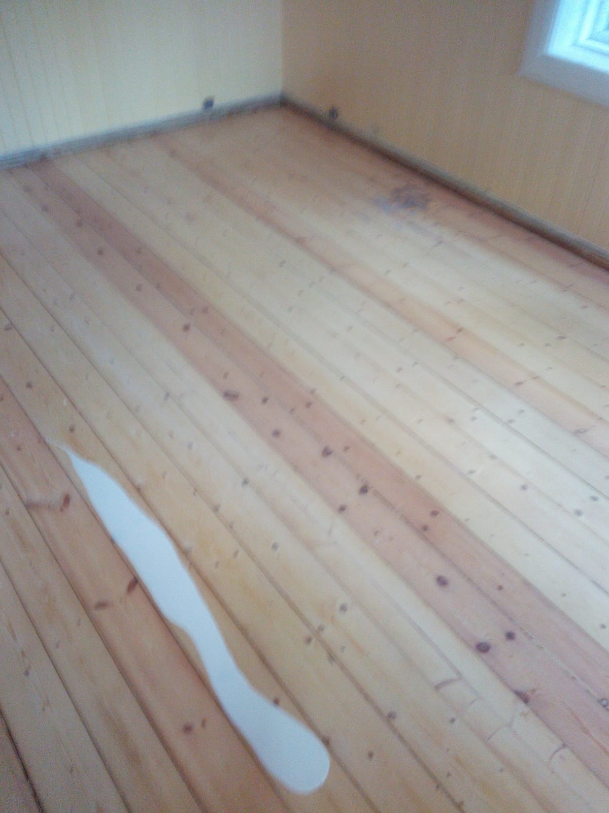IMG-20201206-WA0168